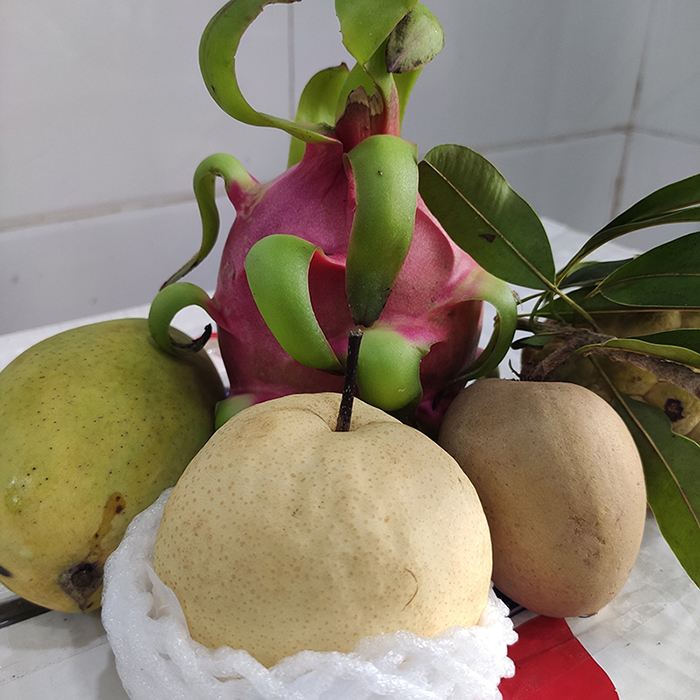 Mâm ngũ quả số 49
